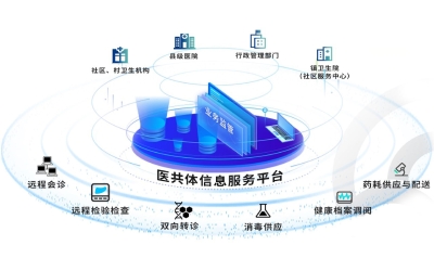 縣域醫(yī)共體信息化建設(shè)采購項目