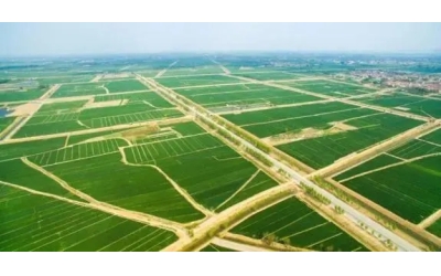 2021年利津縣鹽窩鎮0.7萬畝高標準農田建設項目施工與監理